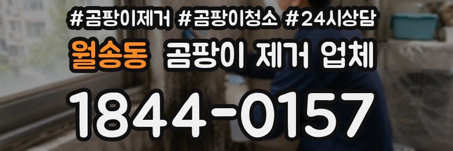 월송동 곰팡이 제거 업체