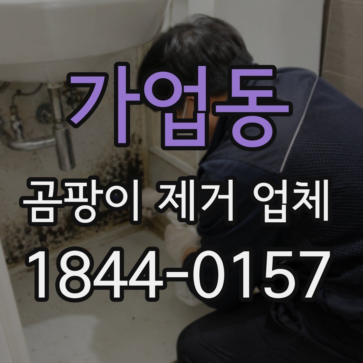 가업동 곰팡이 제거 업체