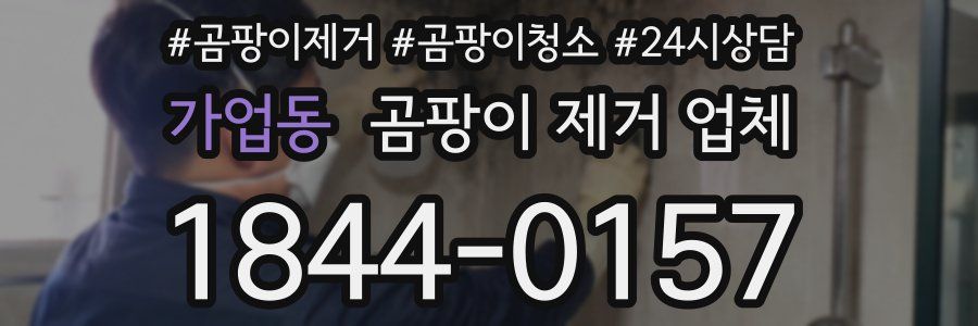 가업동 곰팡이 제거 업체