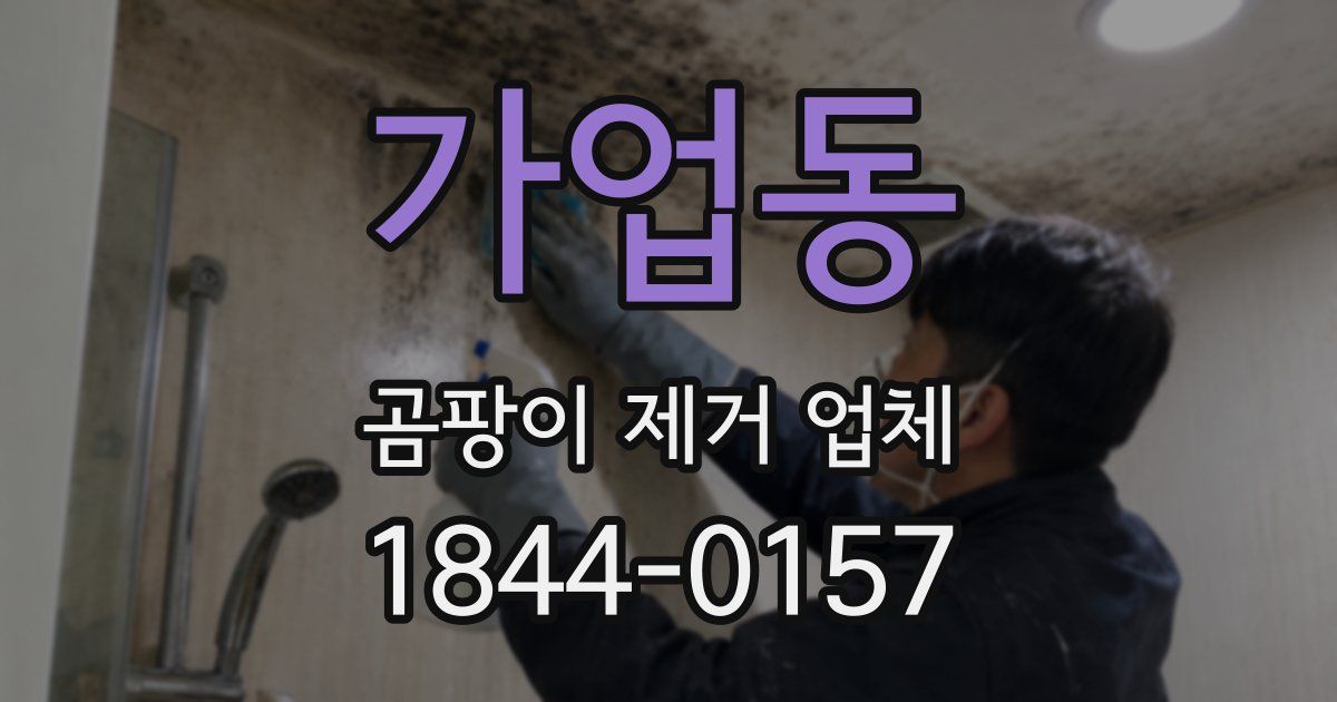 가업동 곰팡이 제거 업체