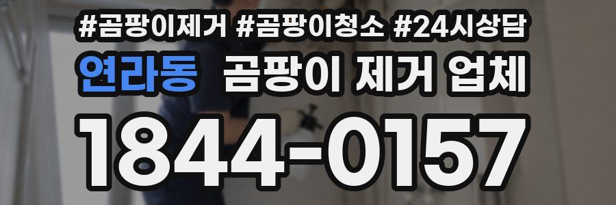 연라동 곰팡이 제거 업체