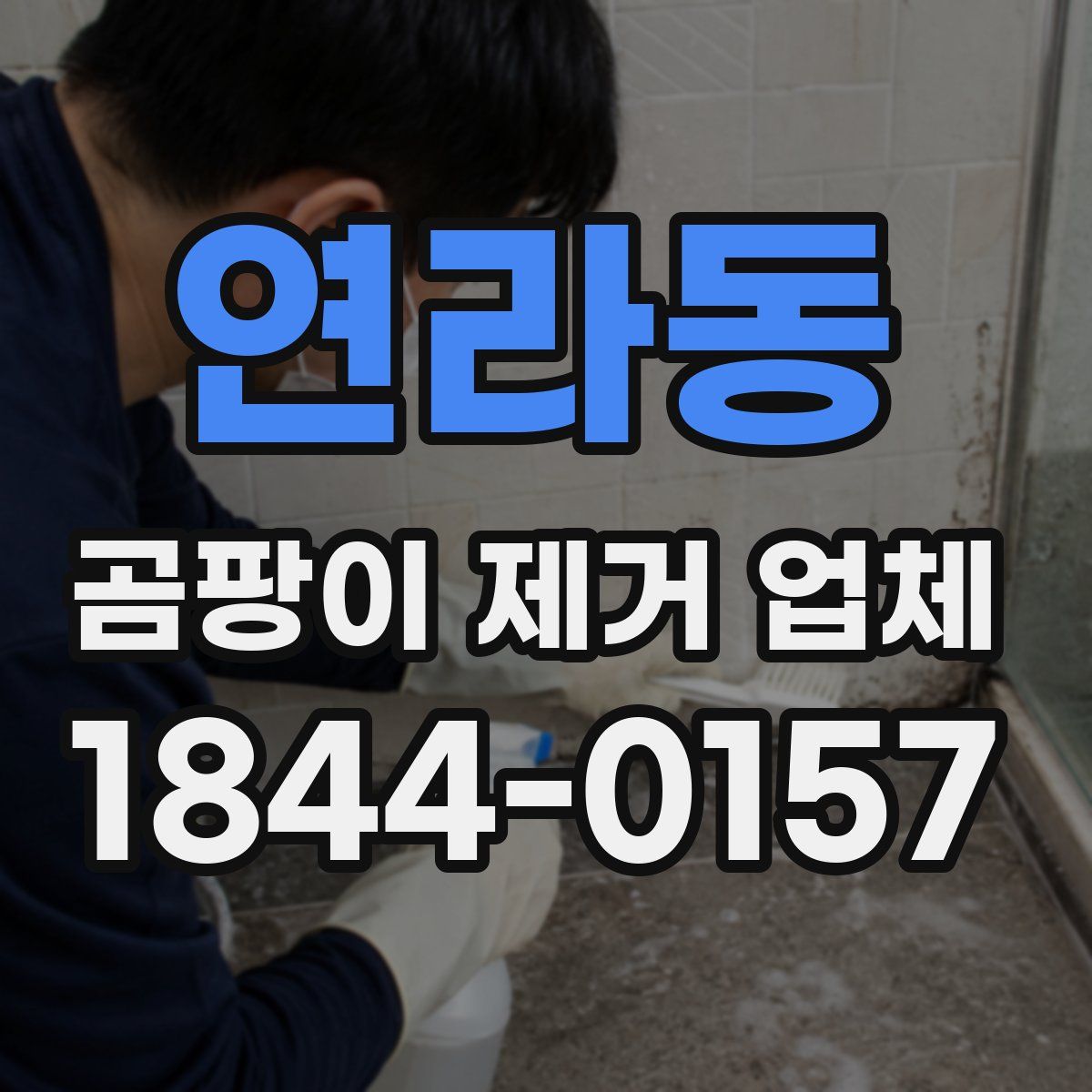 연라동 곰팡이 제거 업체
