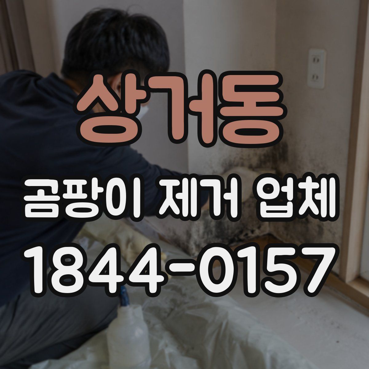 상거동 곰팡이 제거 업체