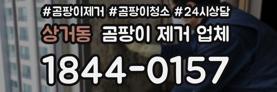 상거동 곰팡이 제거 업체