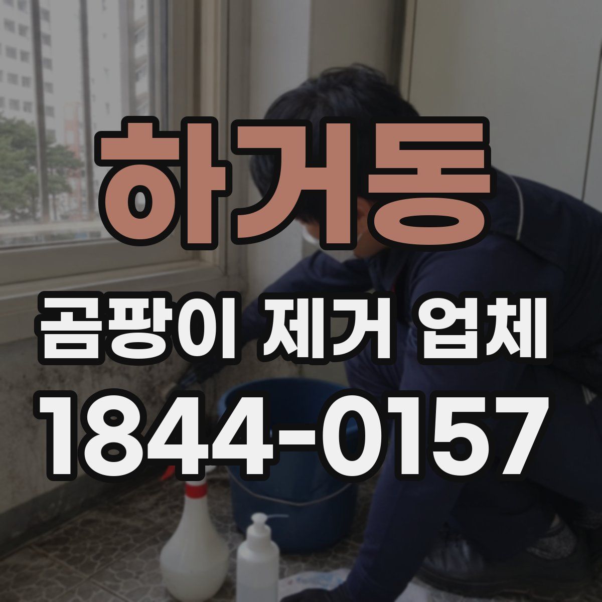 하거동 곰팡이 제거 업체