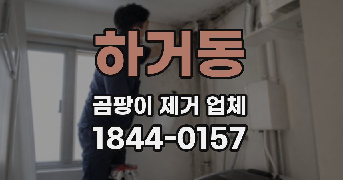 하거동 곰팡이 제거 업체