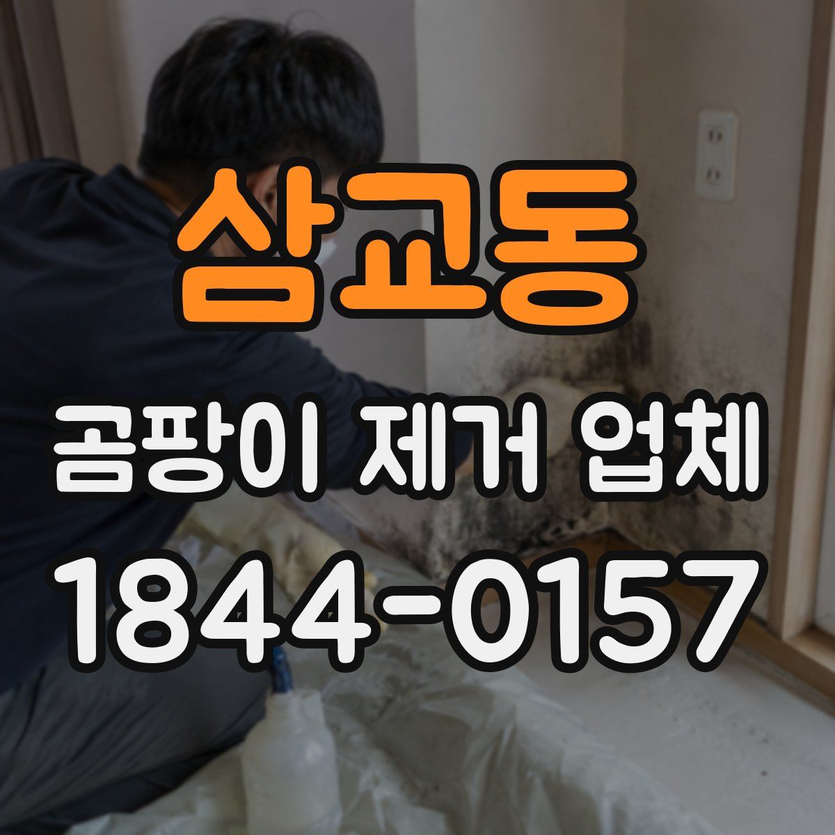 삼교동 곰팡이 제거 업체