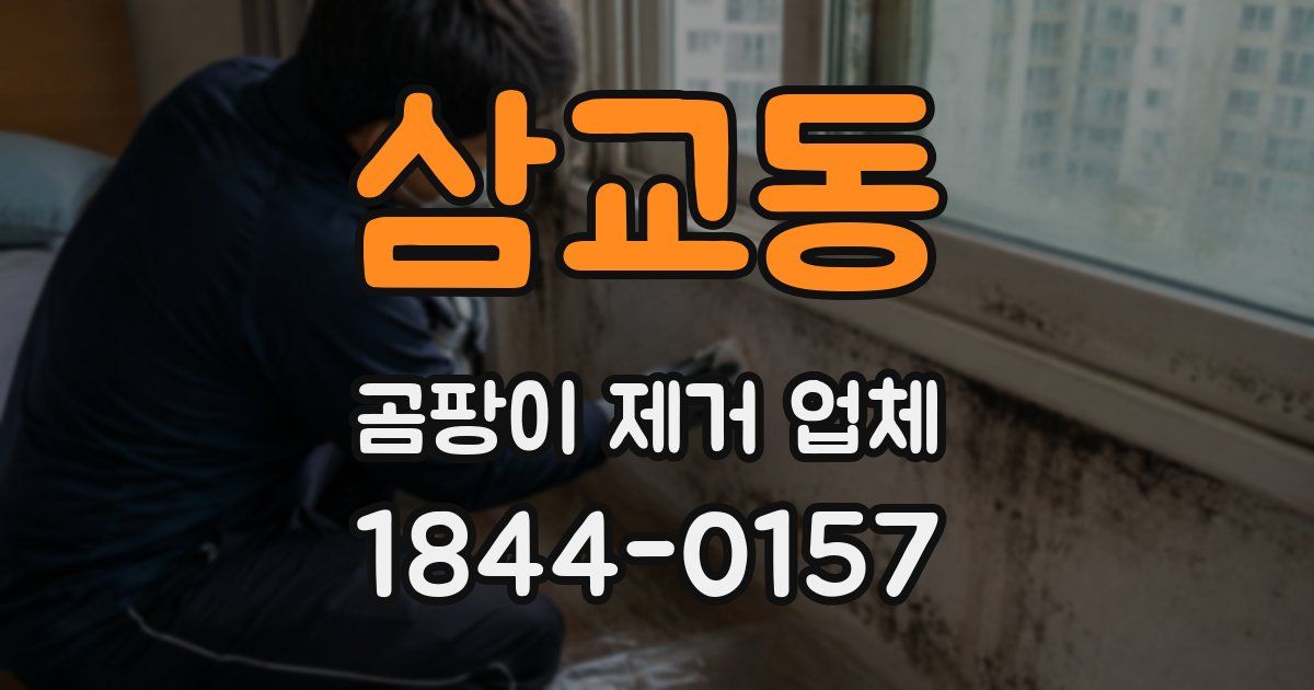 삼교동 곰팡이 제거 업체