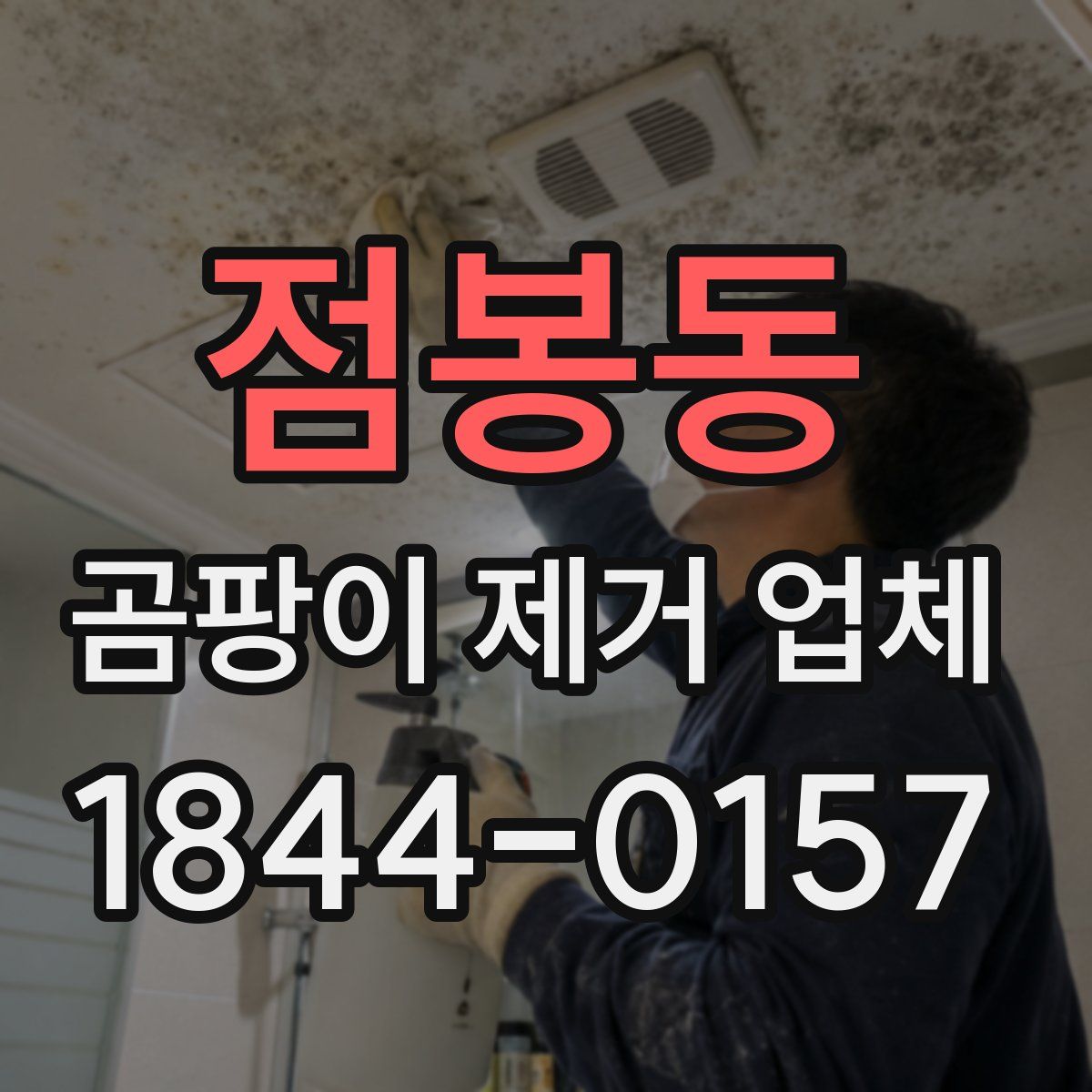 점봉동 곰팡이 제거 업체