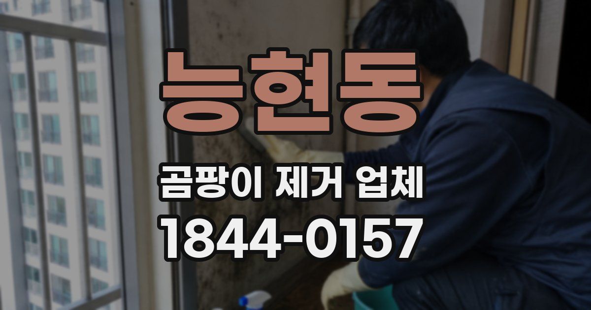 능현동 곰팡이 제거 업체