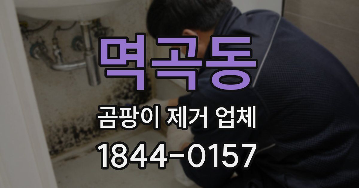 멱곡동 곰팡이 제거 업체