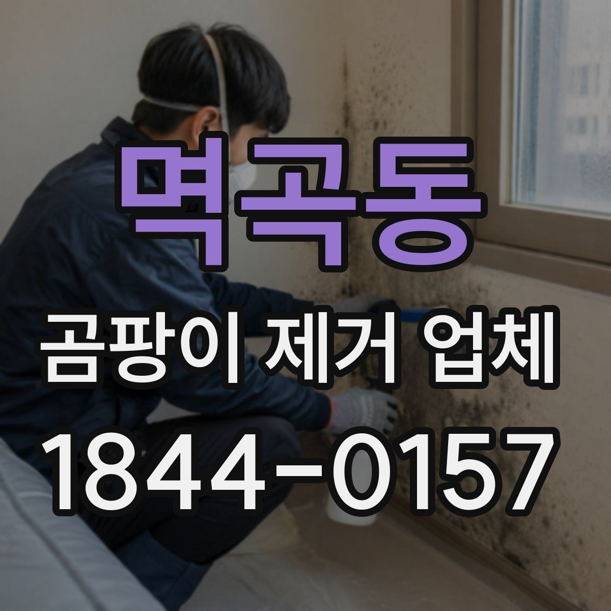 멱곡동 곰팡이 제거 업체