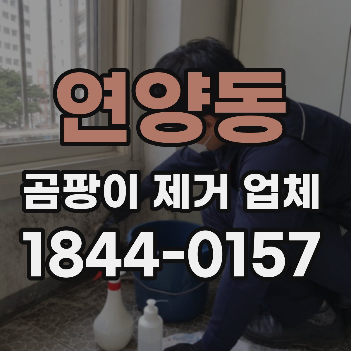 연양동 곰팡이 제거 업체