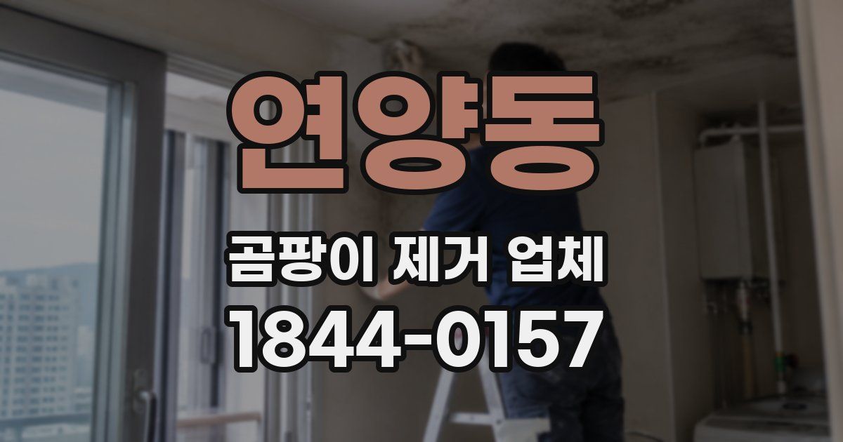 연양동 곰팡이 제거 업체