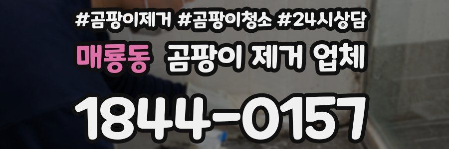 매룡동 곰팡이 제거 업체