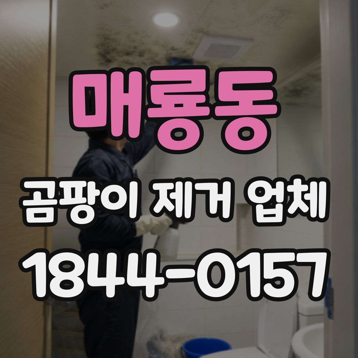 매룡동 곰팡이 제거 업체
