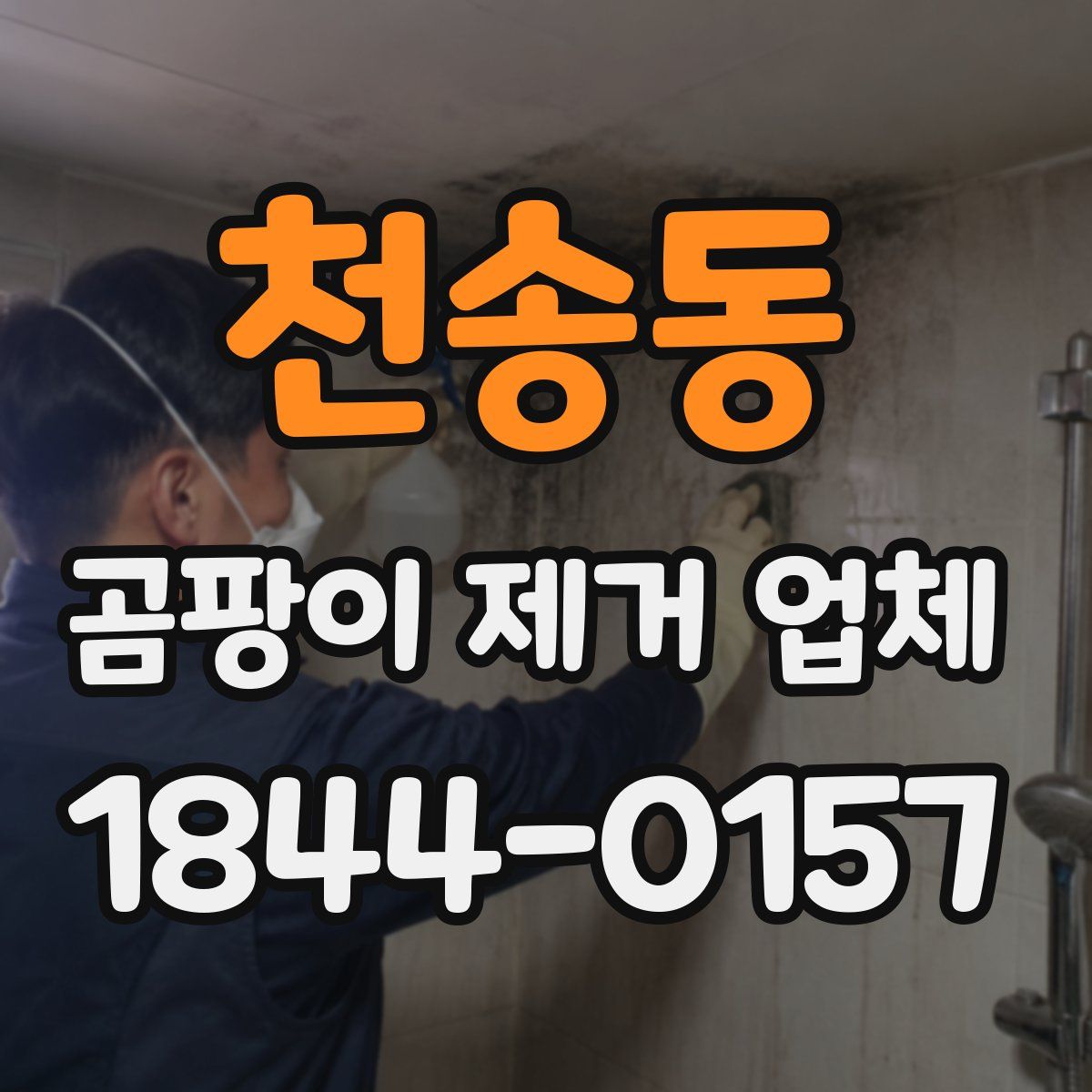 천송동 곰팡이 제거 업체