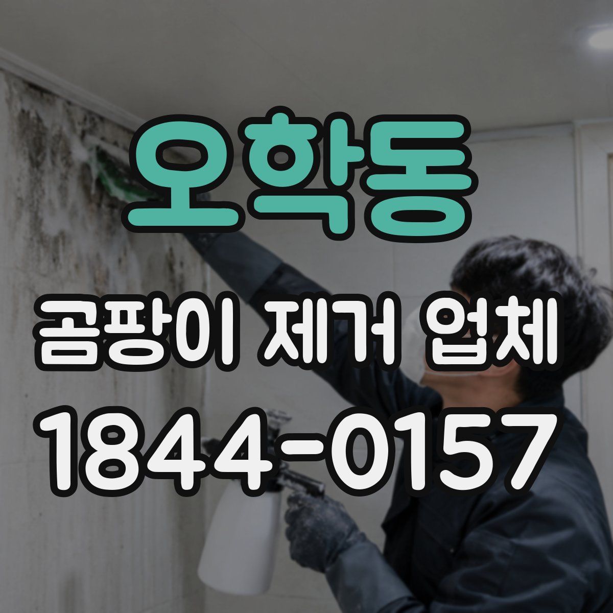 오학동 곰팡이 제거 업체