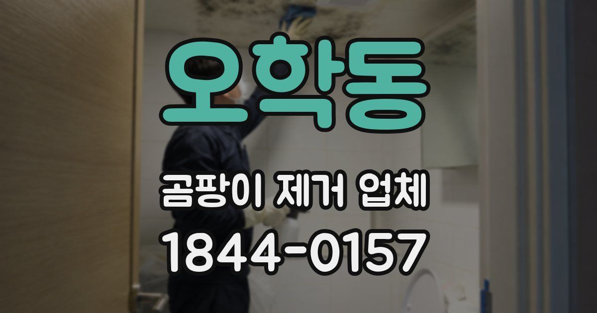 오학동 곰팡이 제거 업체