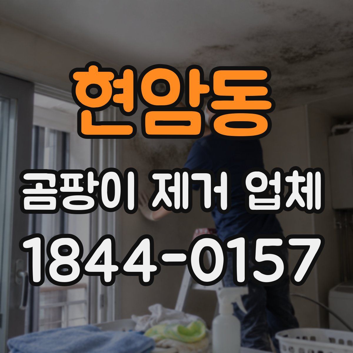 현암동 곰팡이 제거 업체