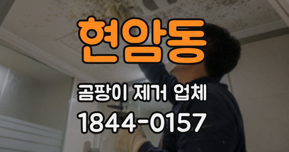 현암동 곰팡이 제거 업체