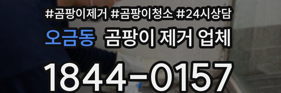오금동 곰팡이 제거 업체