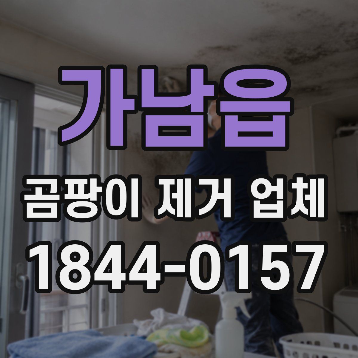 가남읍 곰팡이 제거 업체