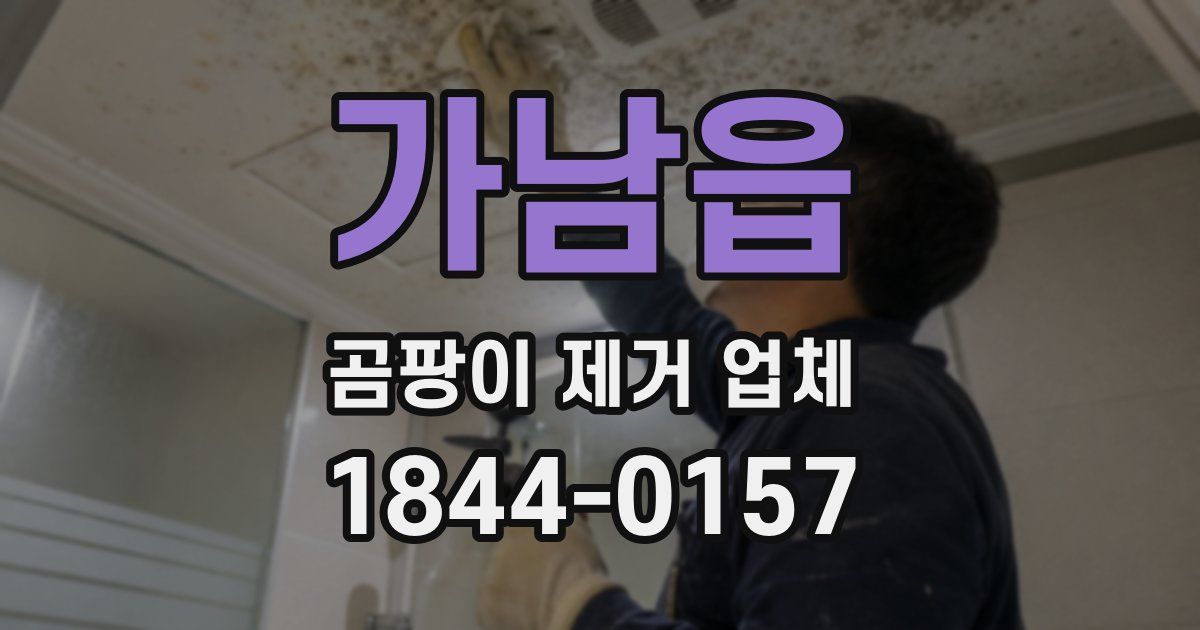 가남읍 곰팡이 제거 업체