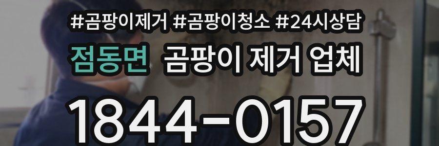 점동면 곰팡이 제거 업체