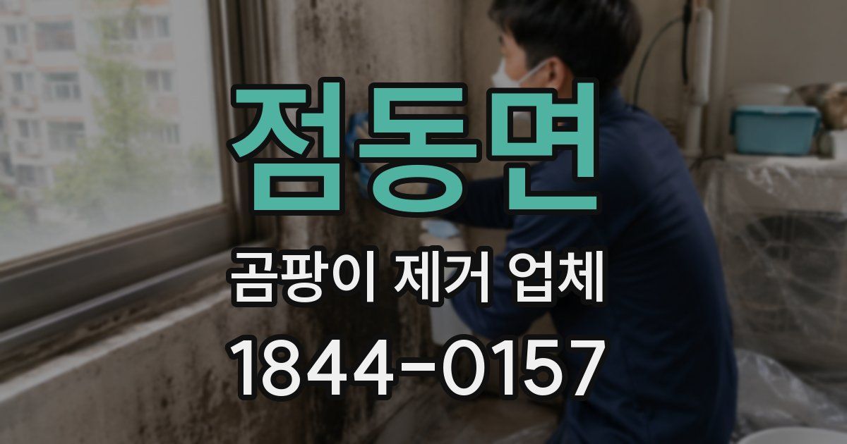 점동면 곰팡이 제거 업체