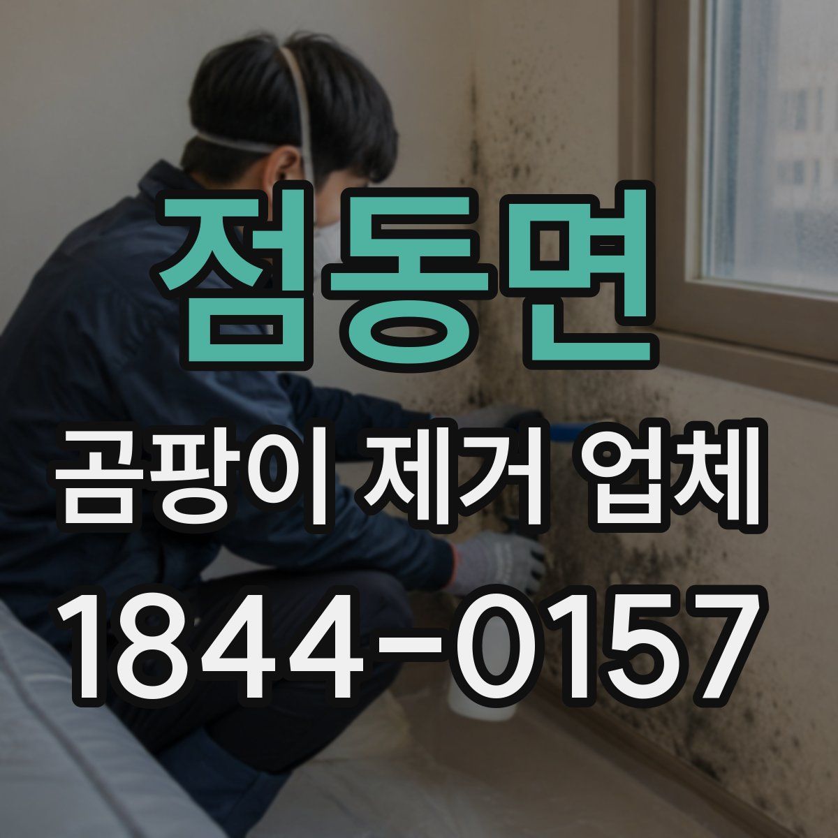 점동면 곰팡이 제거 업체