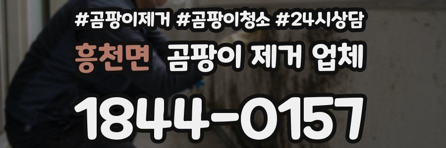 흥천면 곰팡이 제거 업체