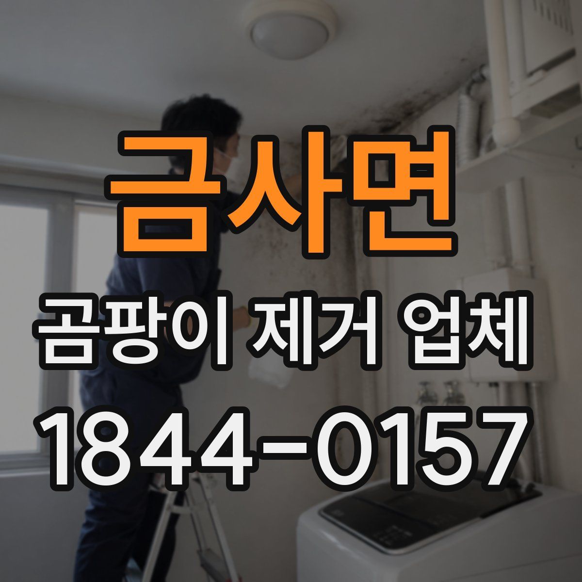 금사면 곰팡이 제거 업체