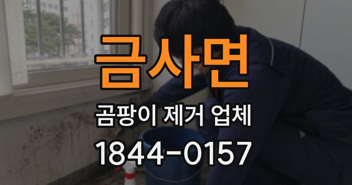 금사면 곰팡이 제거 업체