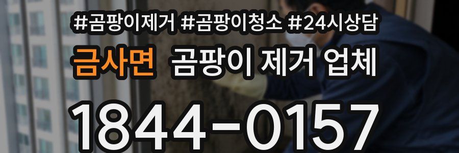 금사면 곰팡이 제거 업체