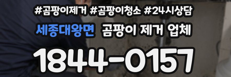 세종대왕면 곰팡이 제거 업체