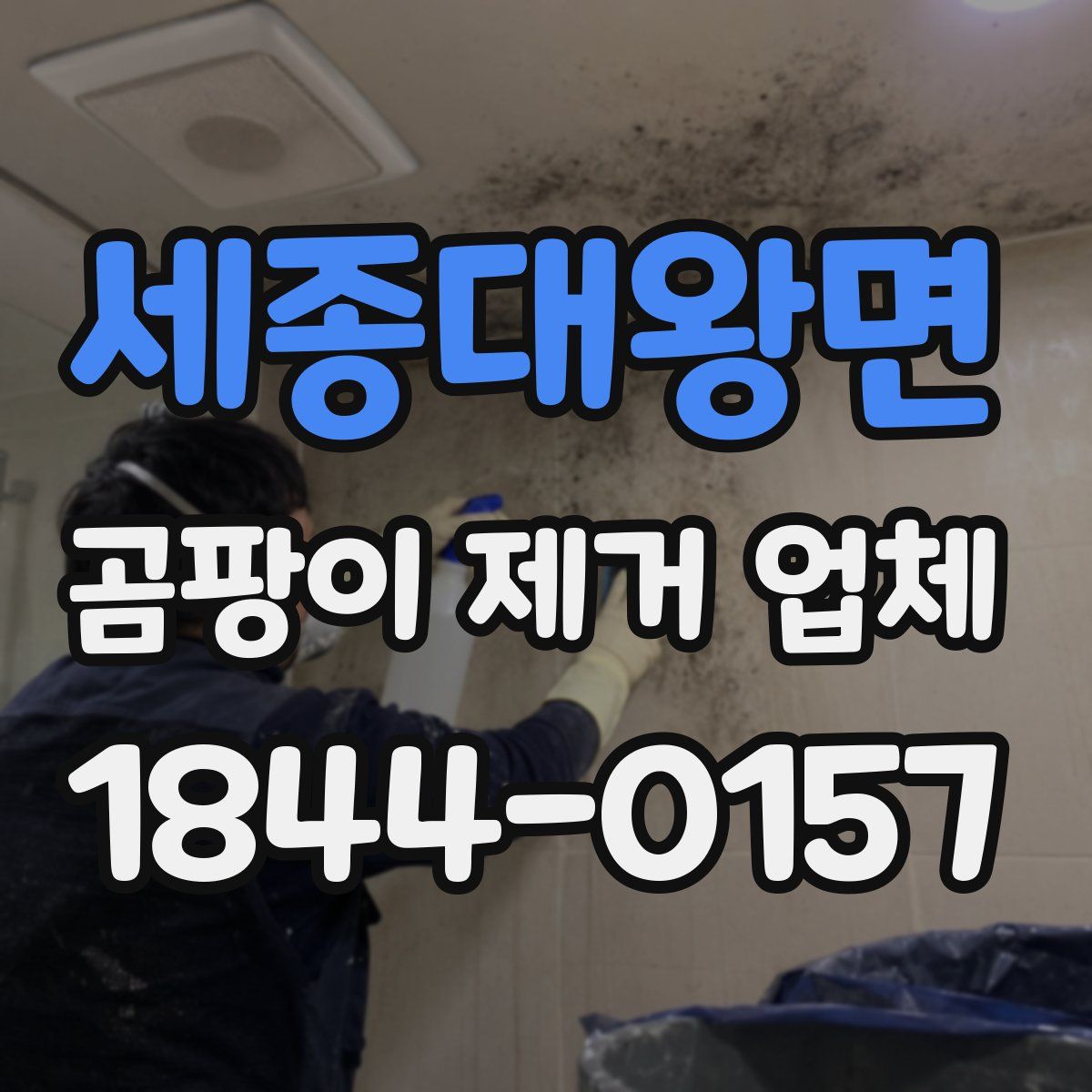세종대왕면 곰팡이 제거 업체