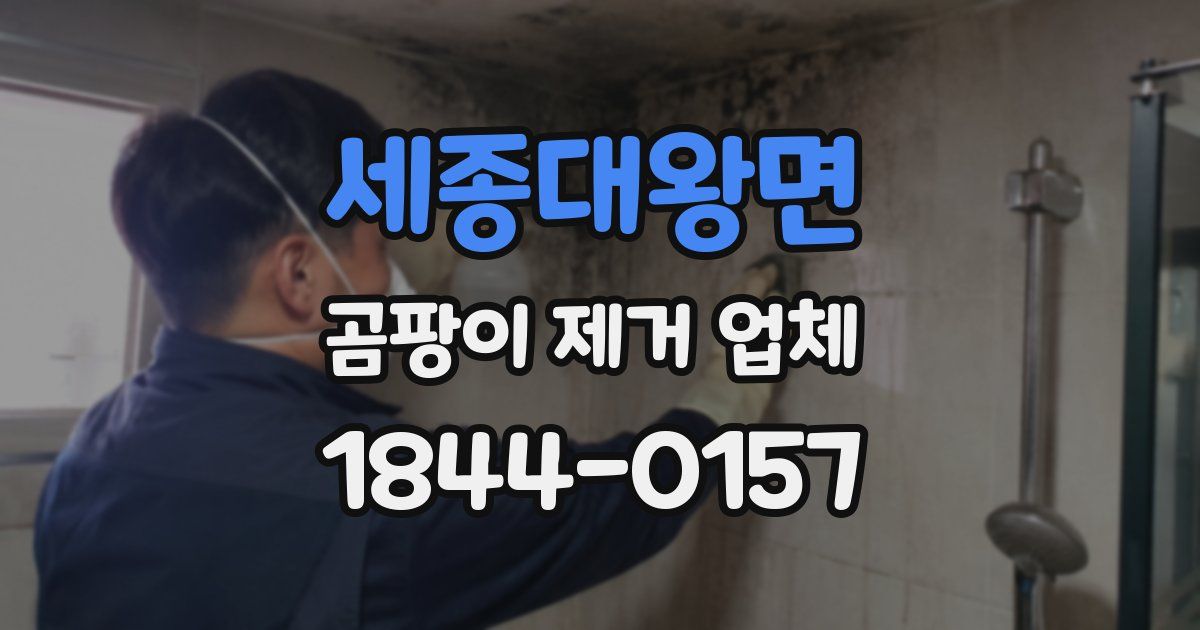세종대왕면 곰팡이 제거 업체