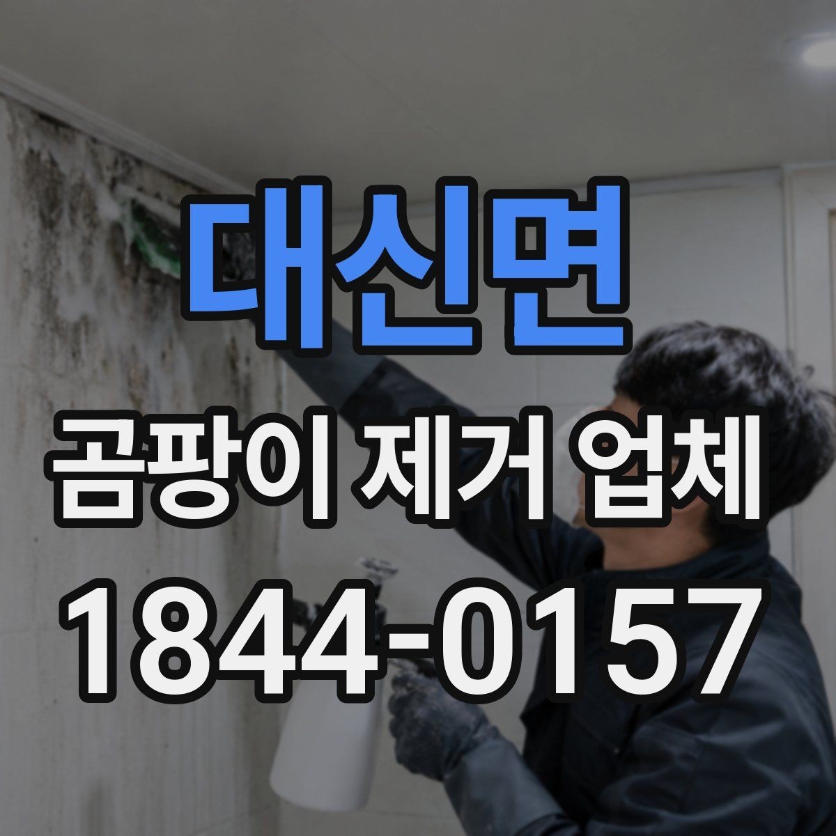 대신면 곰팡이 제거 업체 실내 습도와 오염 재발의 관계를 살펴보기