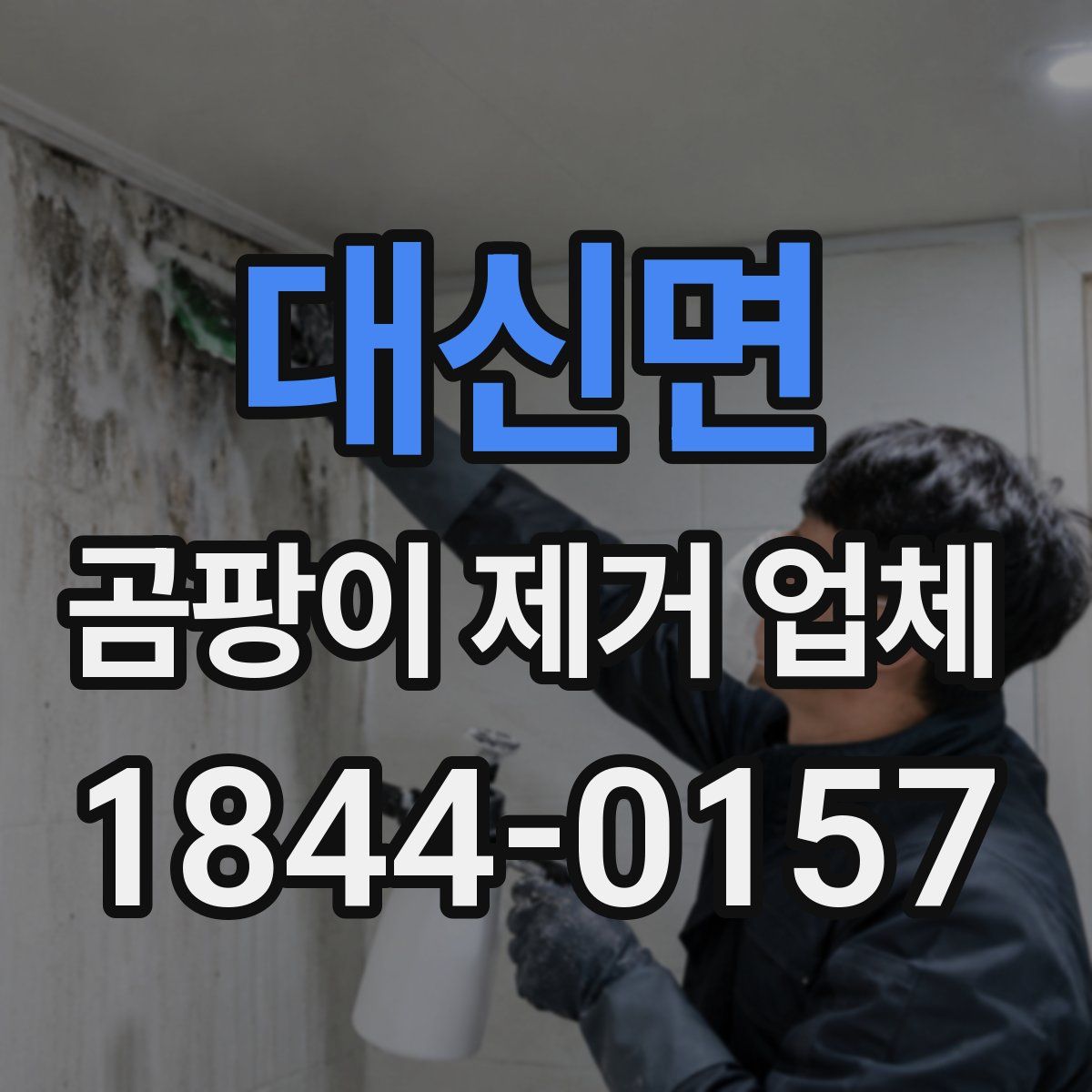 대신면 곰팡이 제거 업체