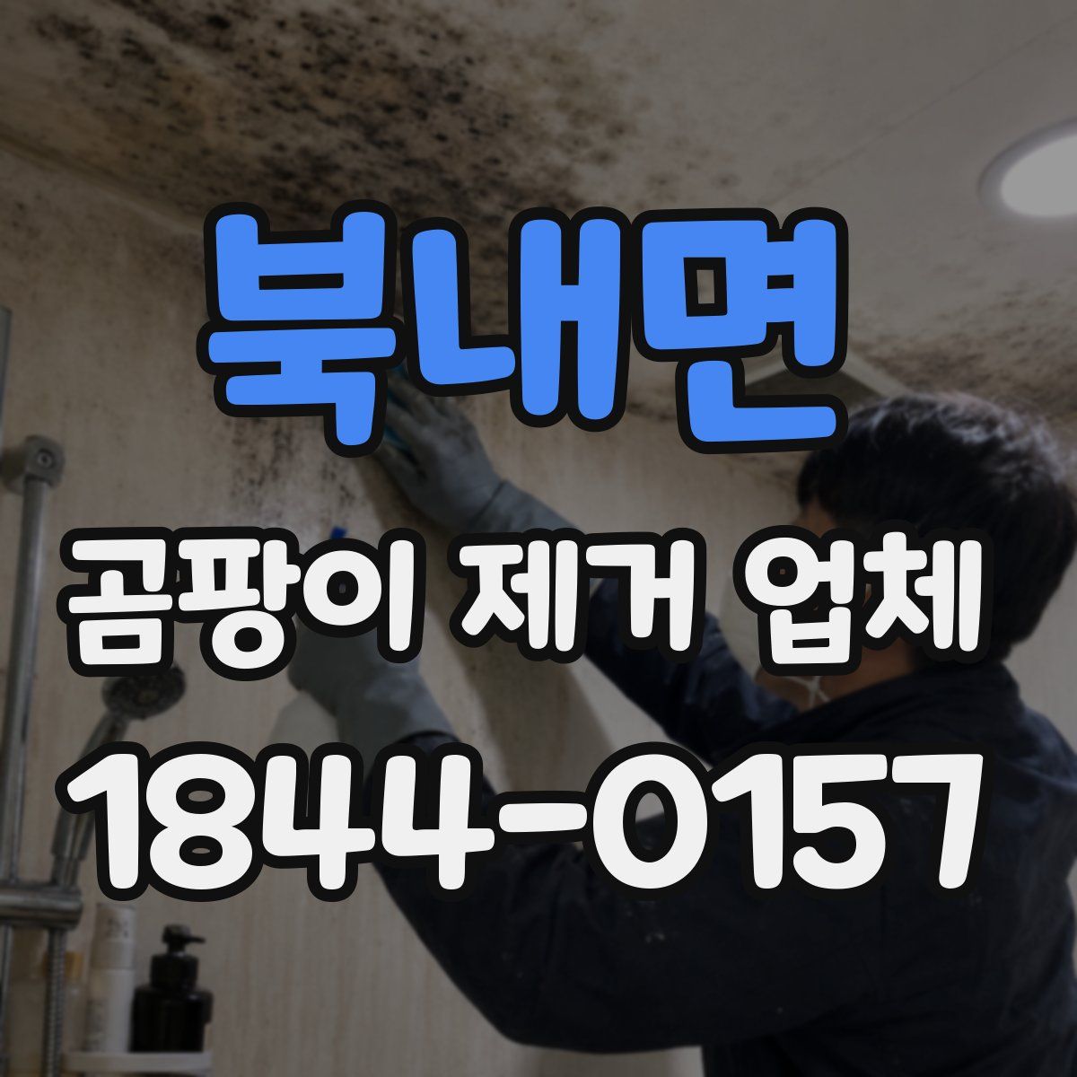 북내면 곰팡이 제거 업체
