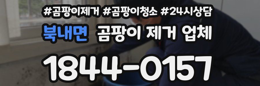 북내면 곰팡이 제거 업체
