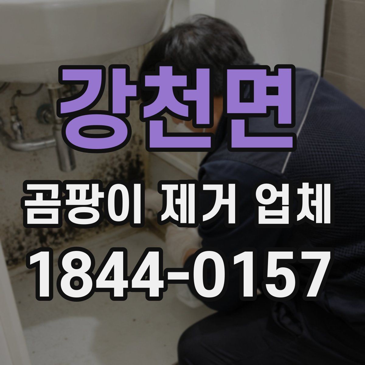 강천면 곰팡이 제거 업체 전세·월세 주택에서 자주 나오는 분담 문제