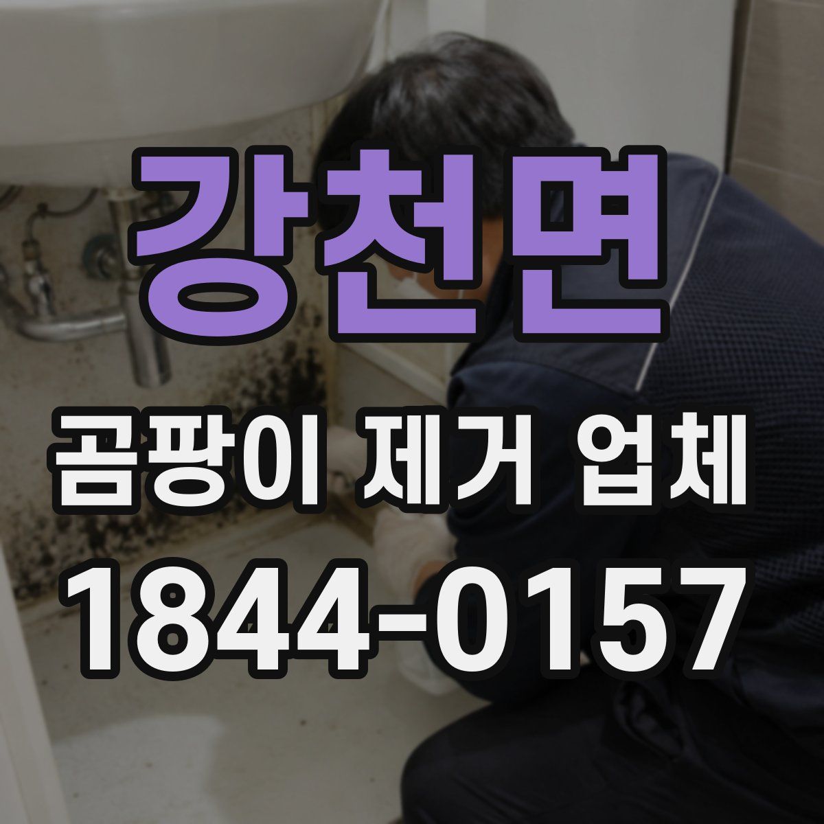 강천면 곰팡이 제거 업체