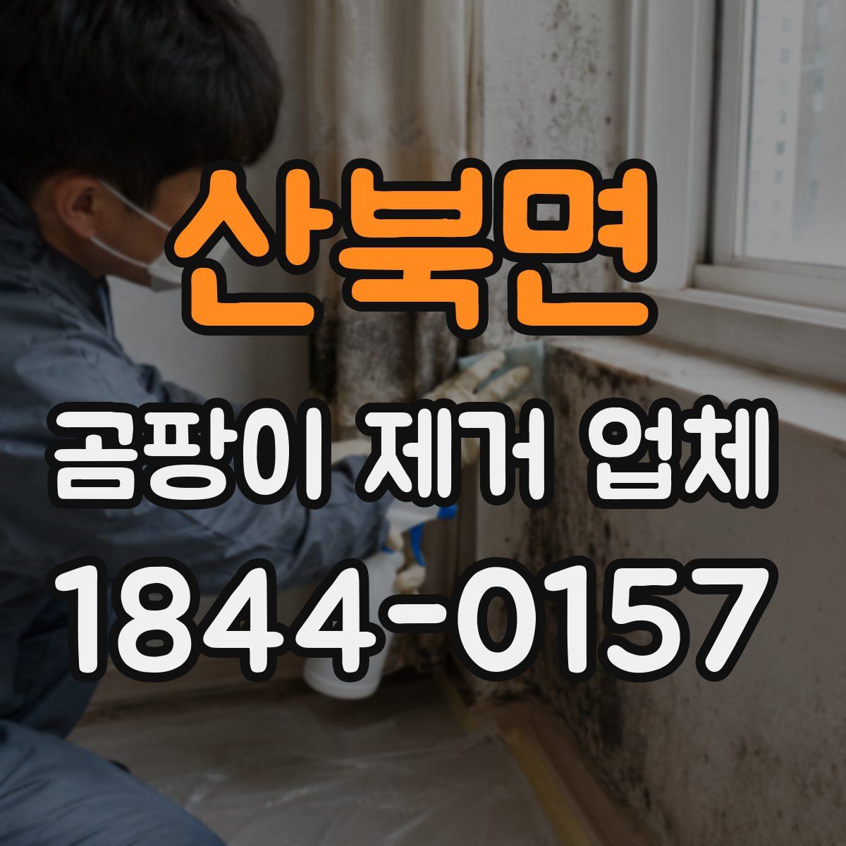 산북면 곰팡이 제거 업체