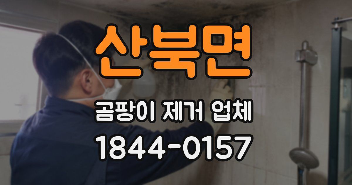 산북면 곰팡이 제거 업체