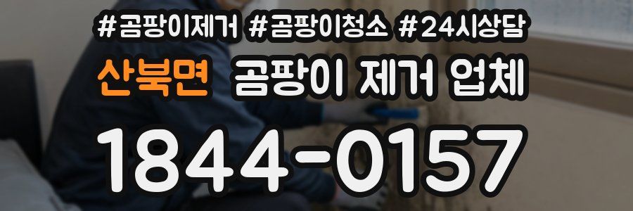 산북면 곰팡이 제거 업체