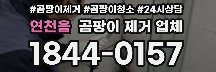 연천읍 곰팡이 제거 업체