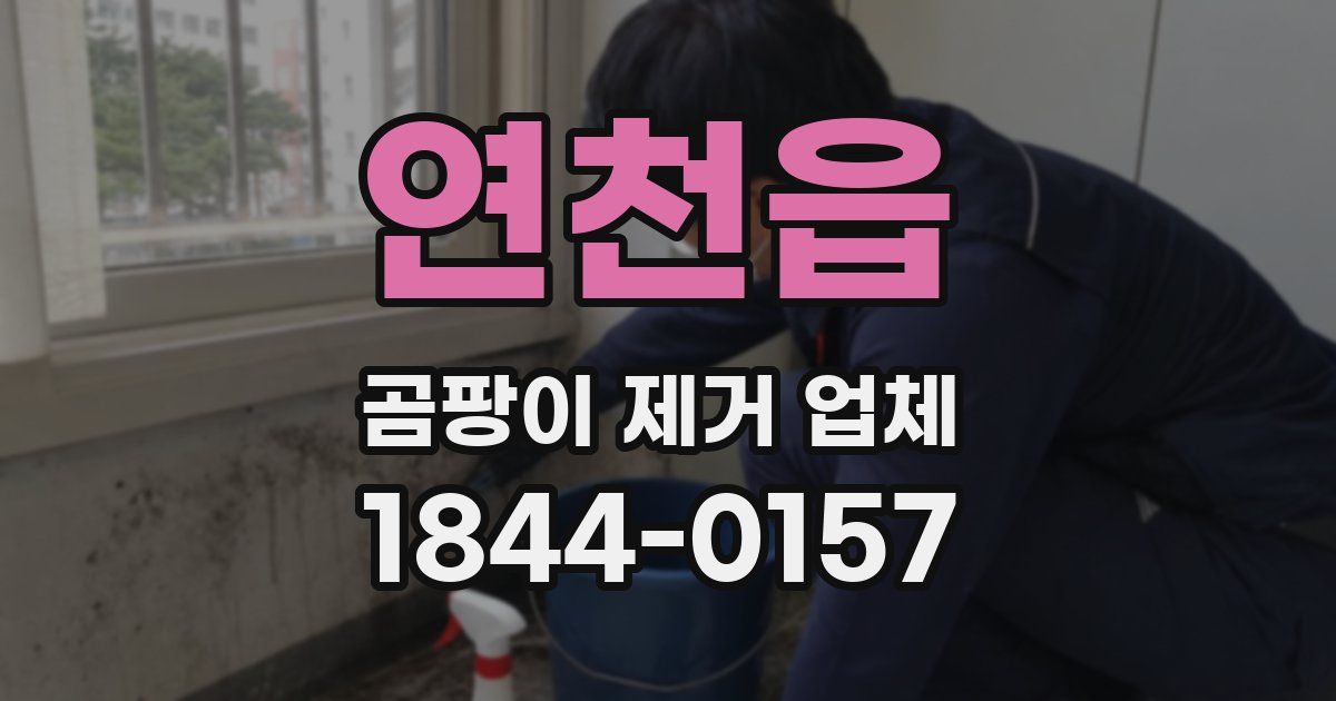 연천읍 곰팡이 제거 업체