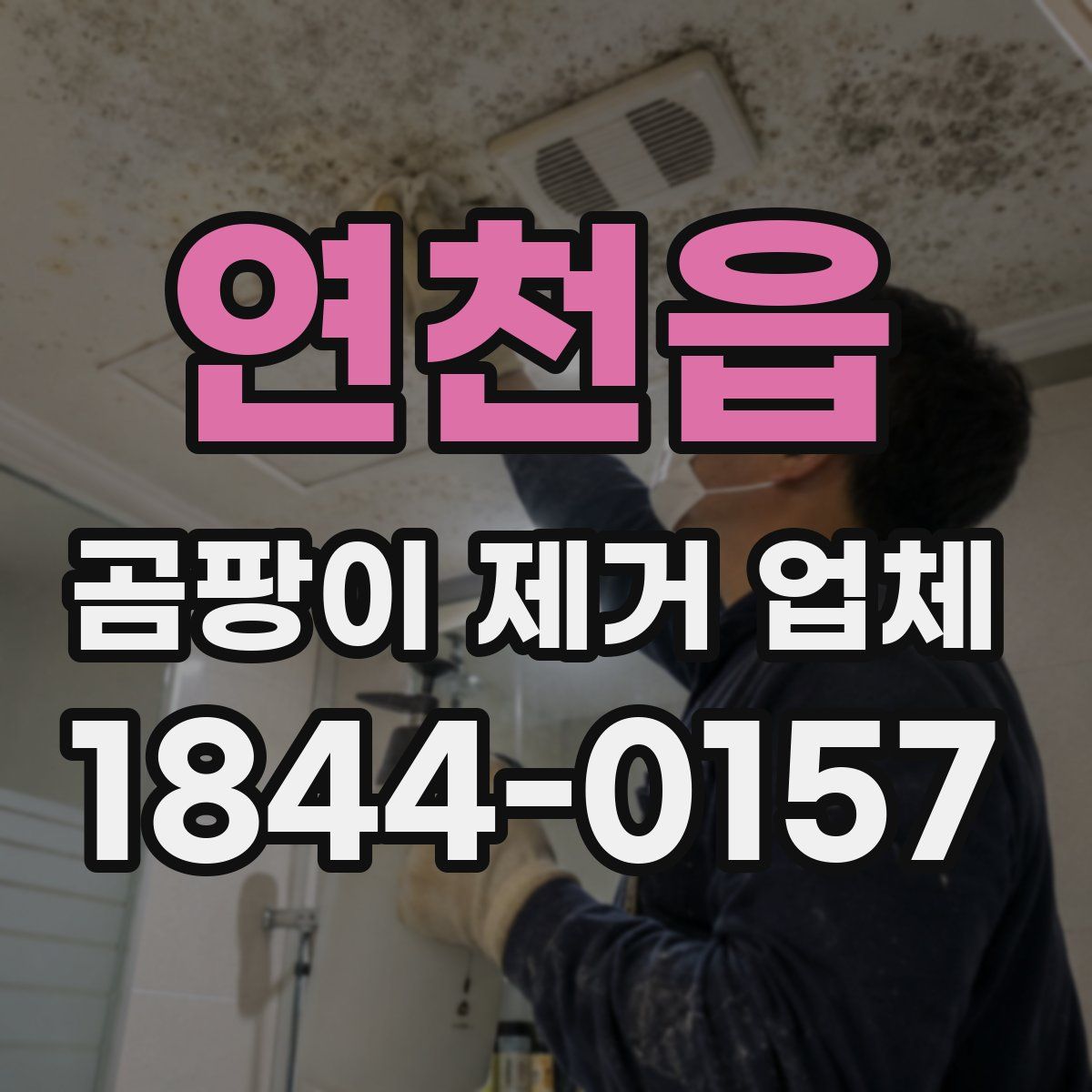 연천읍 곰팡이 제거 업체